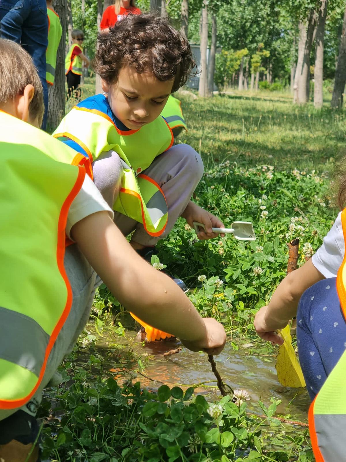 Ege Kozalak Anaokulu