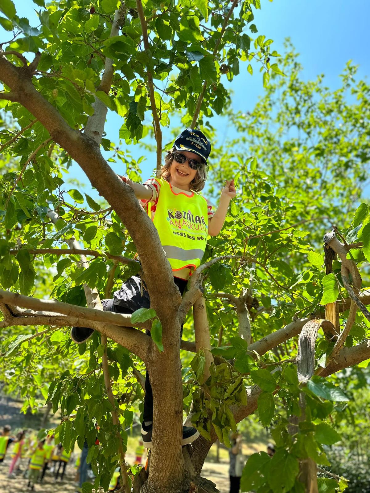 Ege Kozalak Anaokulu